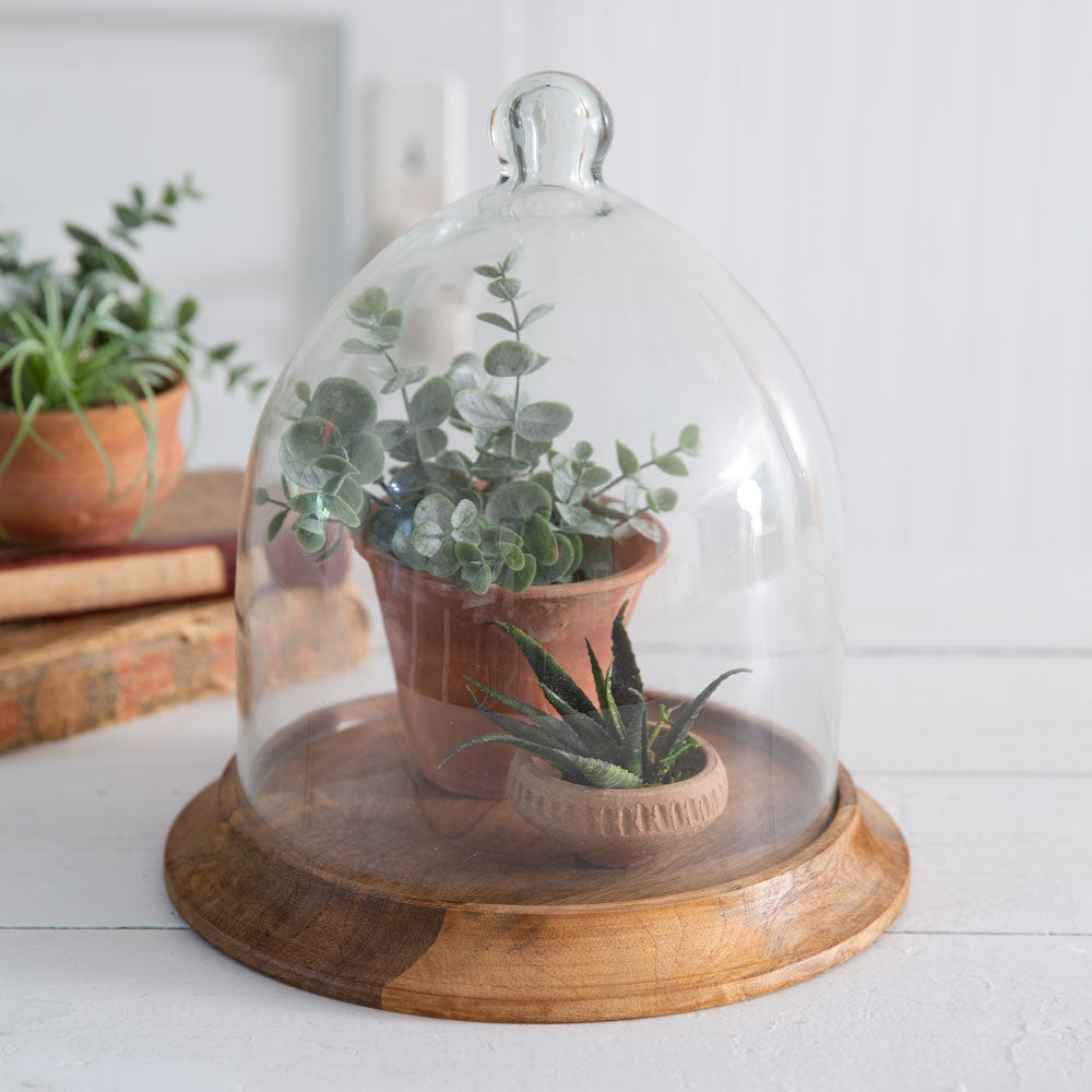 Small Glass Bell Shaped Cloche with Wooden Base-Kitchenware-Vintage Shopper