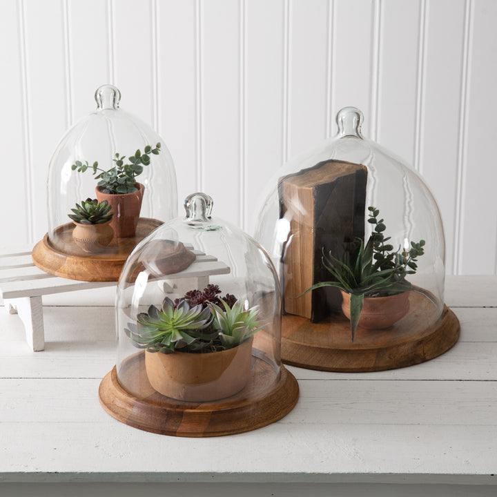 Small Glass Bell Shaped Cloche with Wooden Base-Kitchenware-Vintage Shopper