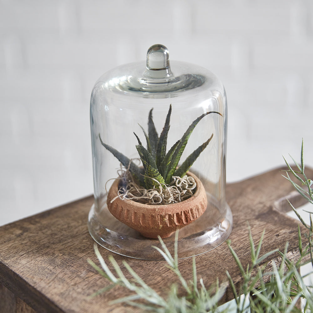 Miniature Glass Cloches (Set of 4)-Kitchenware-Vintage Shopper