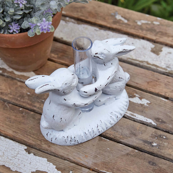 Weathered Rabbits Rain Gauge with clear tube and rustic charm on a wooden surface.