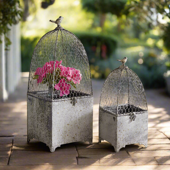 Victorian Chicken Wire Cloche Planters (Set of 2)-Outdoor Décor-Vintage Shopper