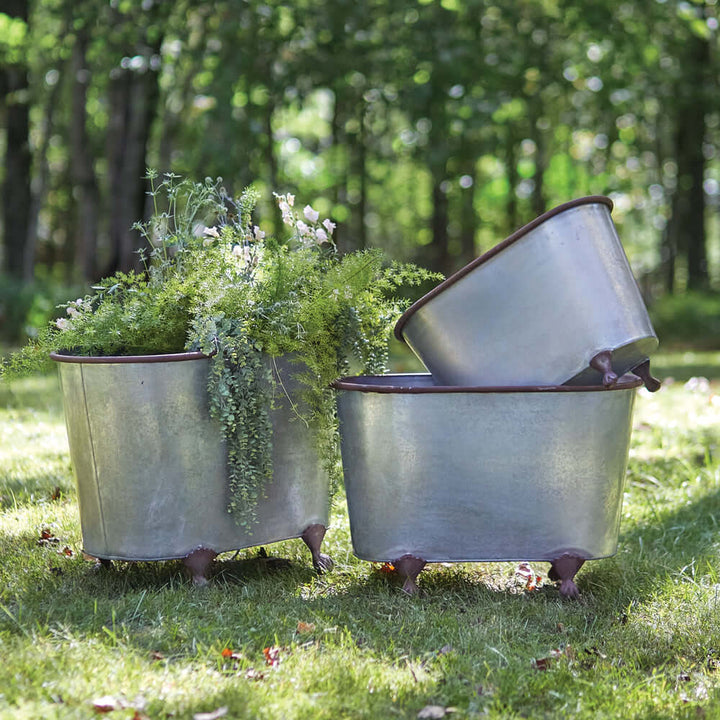 Set of 3 rustic galvanized metal clawfoot planters with greenery, perfect for outdoor garden decor.