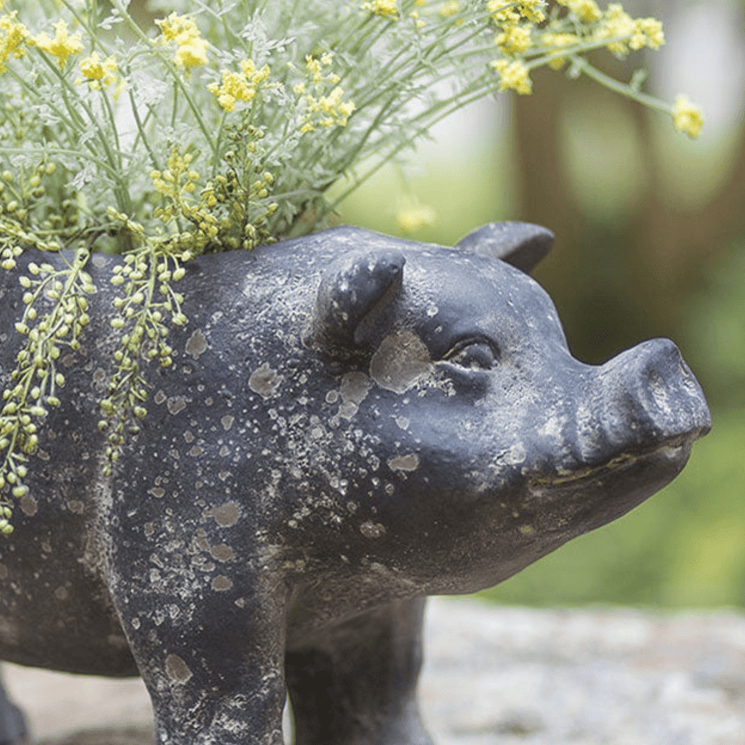 Rustic pig planter with flowers, showcasing a charming, weathered design perfect for home or garden decor.