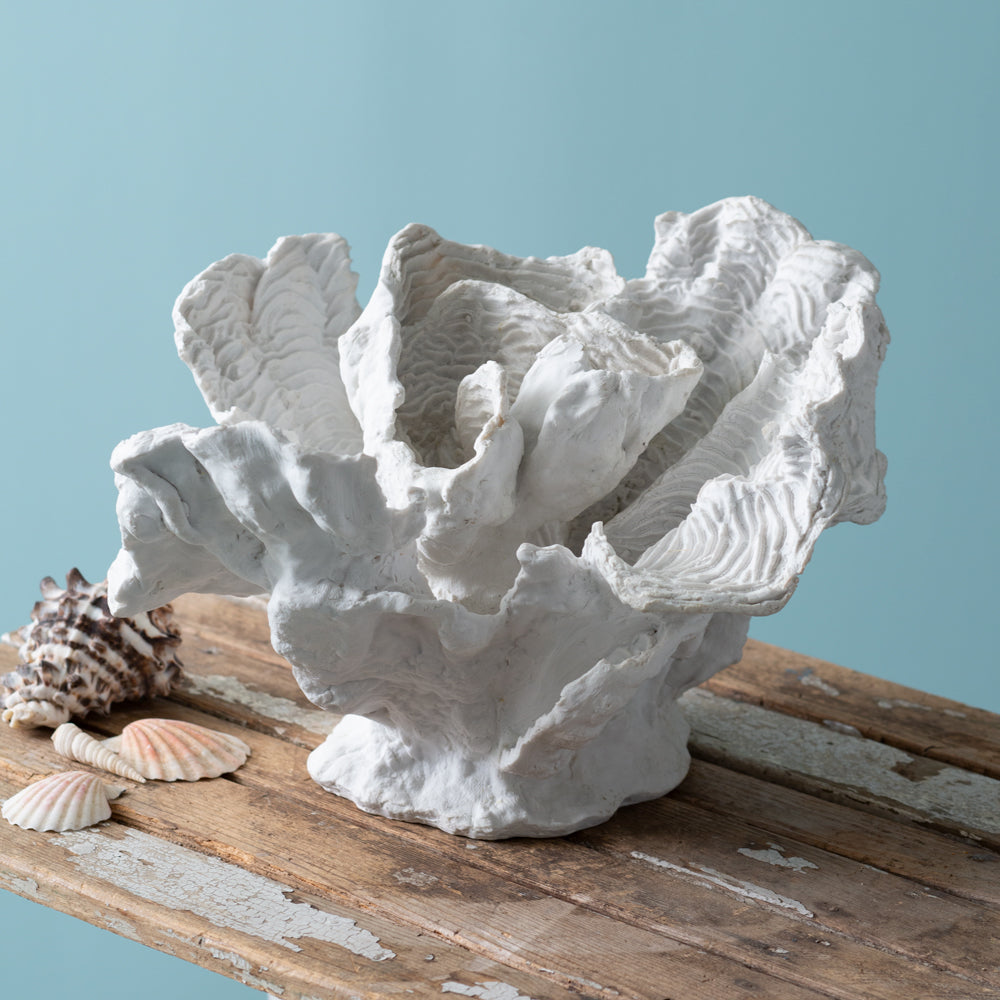 White Coral Reef Coastal Decor