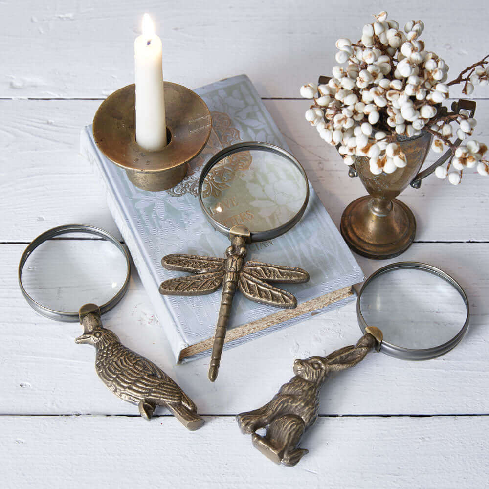 Antique Dragonfly Magnifying Glass in Brass Finish