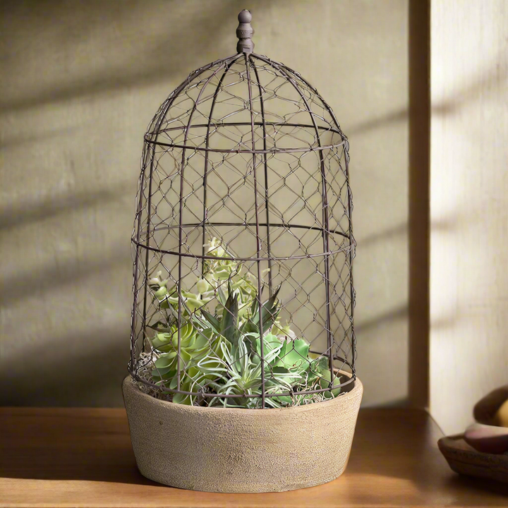 Farmhouse Chicken Wire Cloche with Terracotta Pot