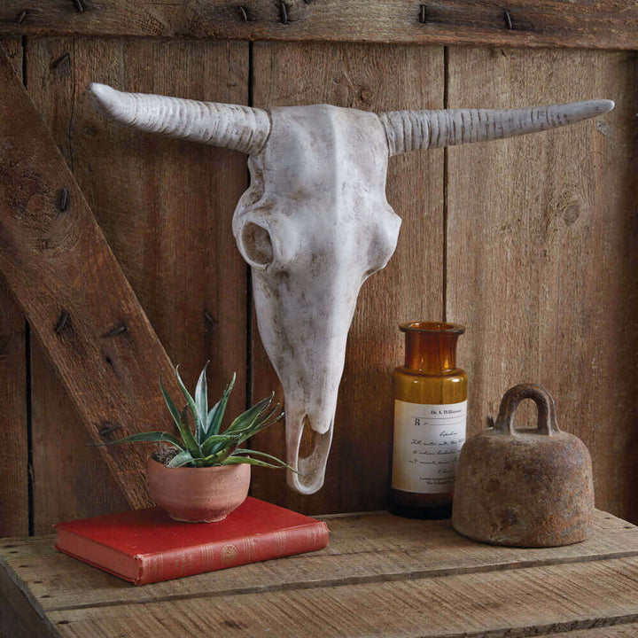 Faux Longhorn Cow Skull in Resin