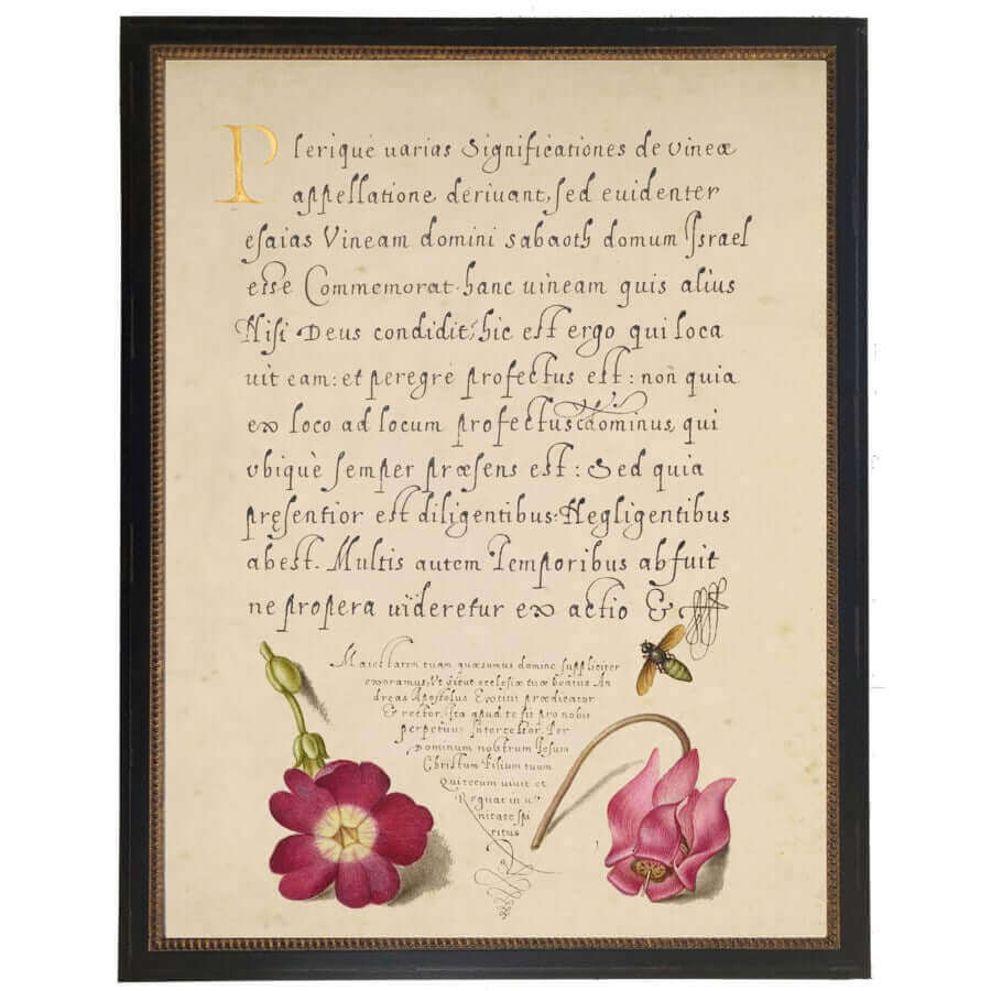 Flowers and Calligraphy 1500s Bookplate Reproduction Print in Black Beaded Frame