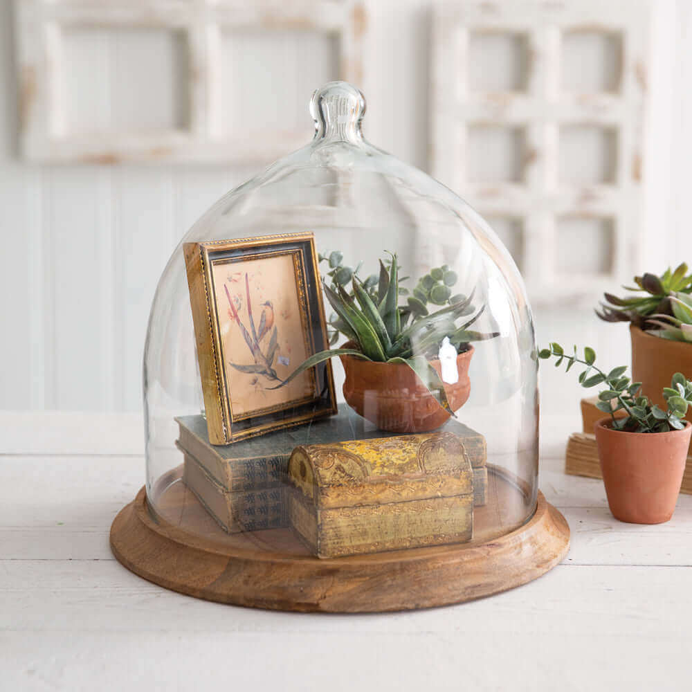 Glass Bell Cloche Dome with Wood Base