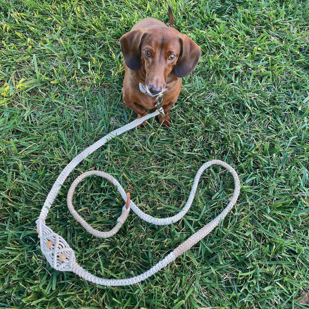 Handmade Boho Macrame Dog Leash