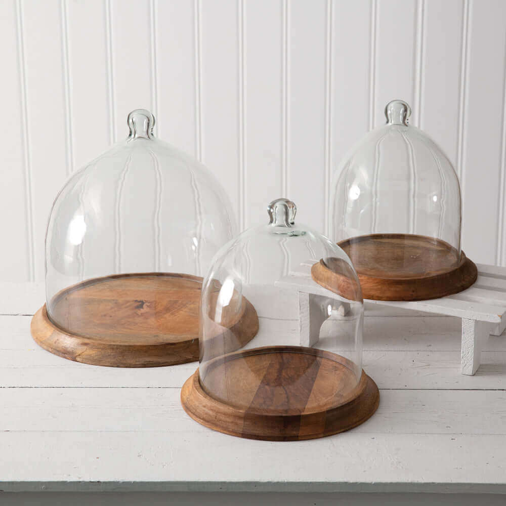 Medium Glass Cloche with Wooden Base