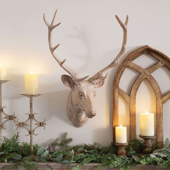 Rustic Deer Head Mount with Antlers in Whitewashed Finish