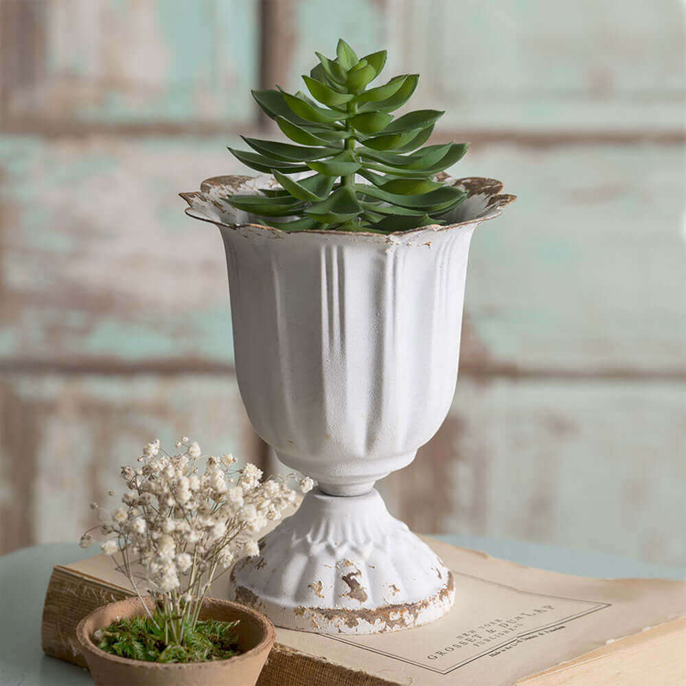 Shabby Chic Distressed Metal Cup Planters (Set of 4)