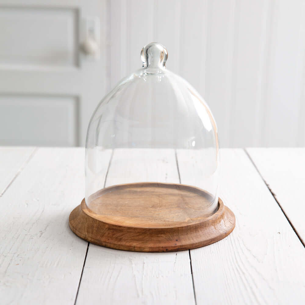 Small Glass Bell Shaped Cloche with Wooden Base