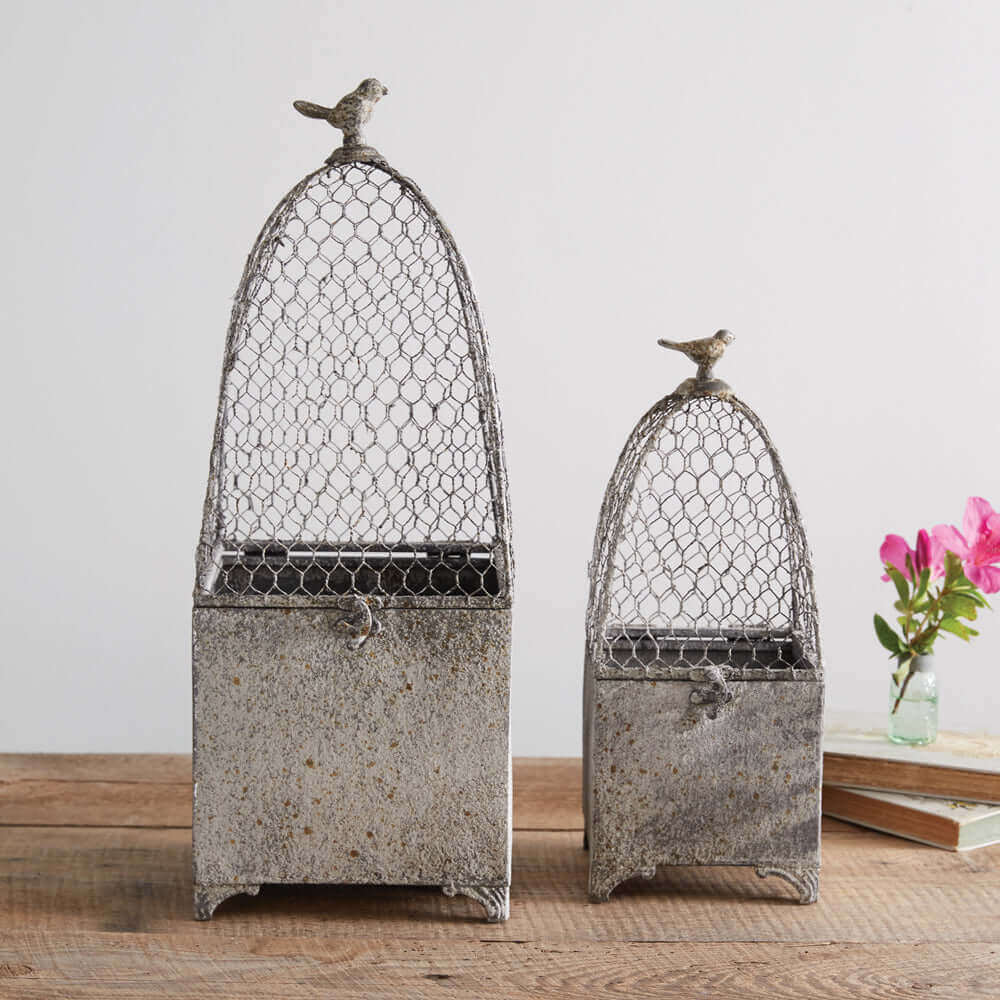 Victorian Chicken Wire Cloche Planters (Set of 2)