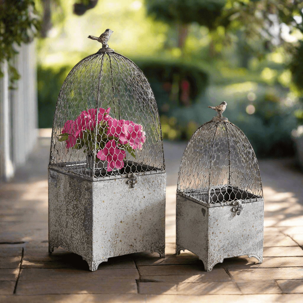 Victorian Chicken Wire Cloche Planters (Set of 2)