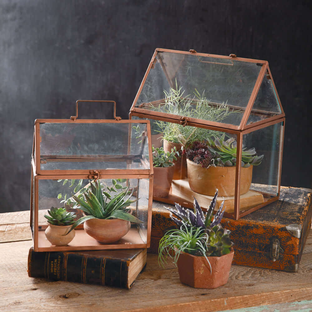 Victorian Greenhouse Terrariums (Set of 2)