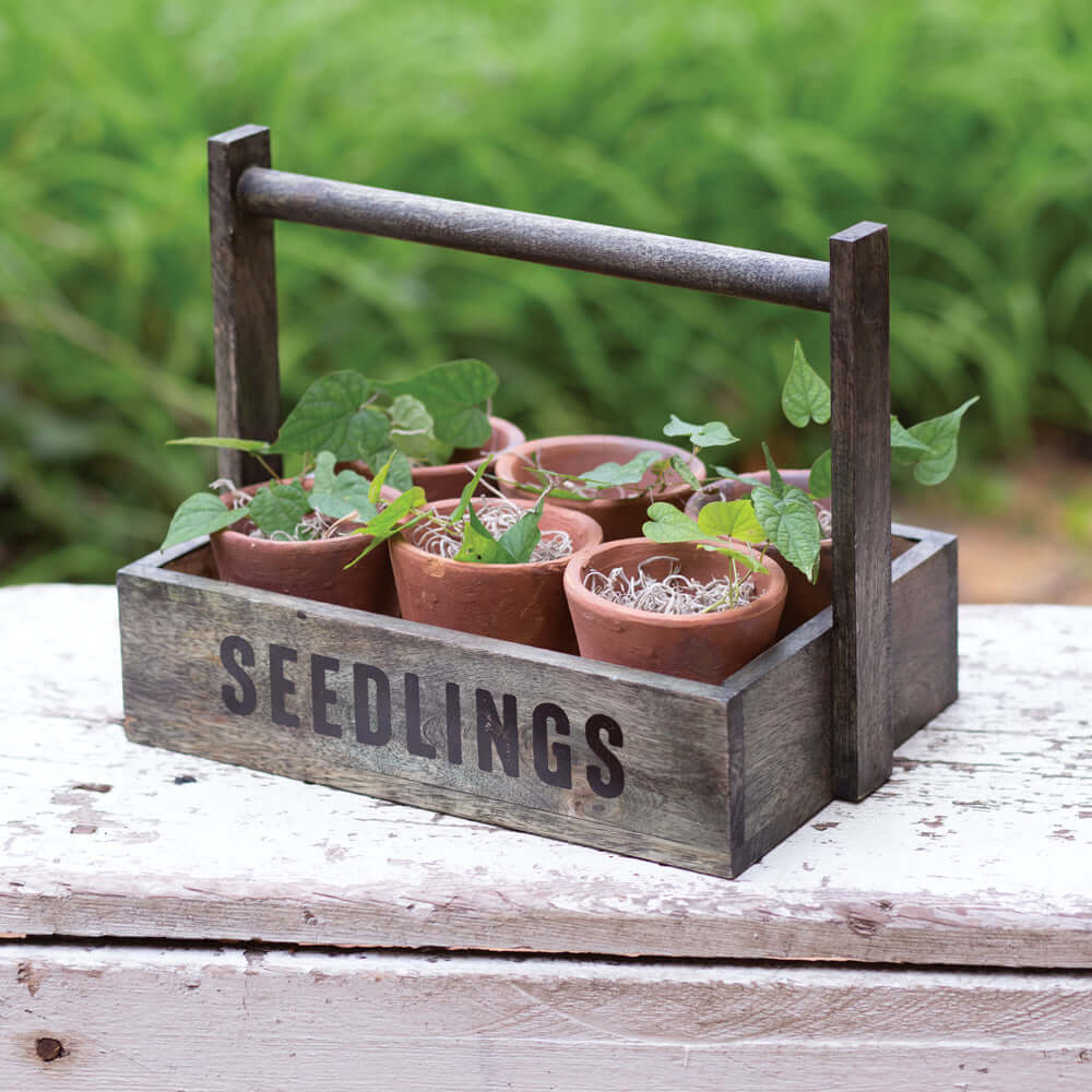 Wood Farmhouse Seedling Caddy with Six Terra Cotta Pots